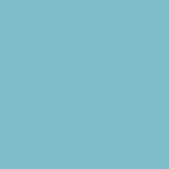RAL 5024