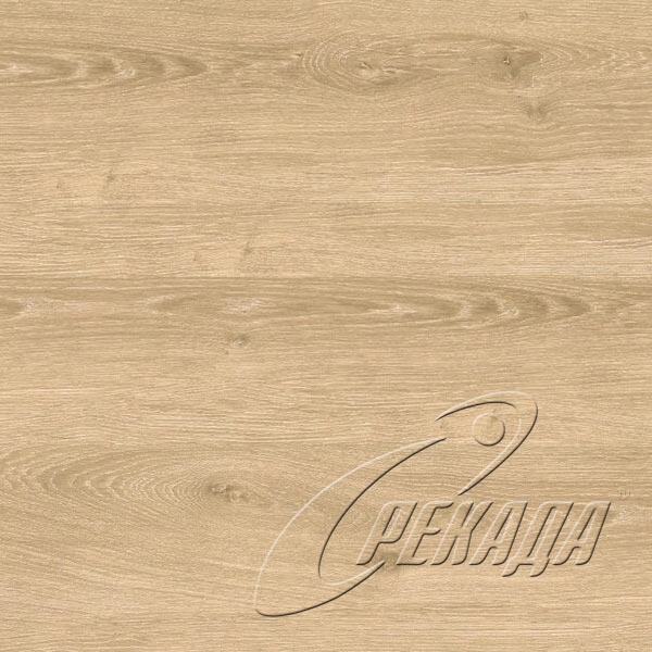 WineOak - WineOak - Champagne