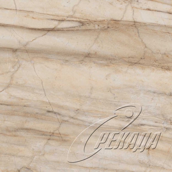 Bernini - Bernini - BR 01