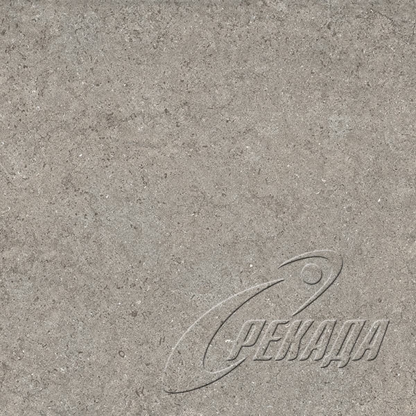 Discover - Discover - Grey
