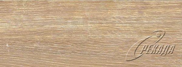 Forest - Forest - ROVERE