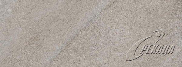 Limestone - Limestone - Oyster