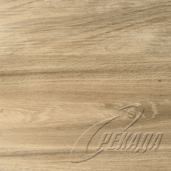Tsuga - Oak